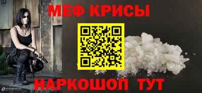 СК Кингисепп