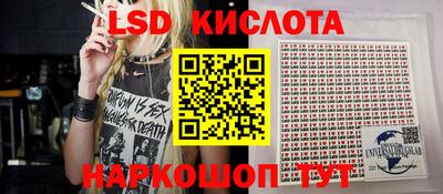 СК Кингисепп