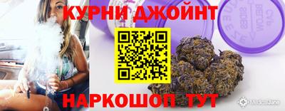 СК Кингисепп