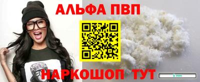 СК Кингисепп